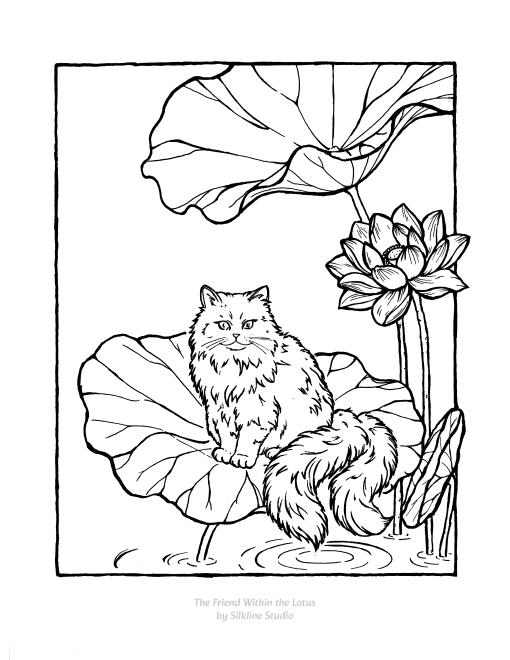 Ⅵ. The Friend Within the Lotus